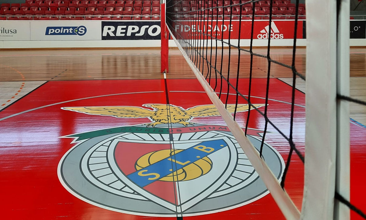 Voleibol
