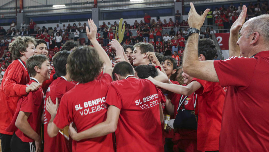 Benfica Tricampeão