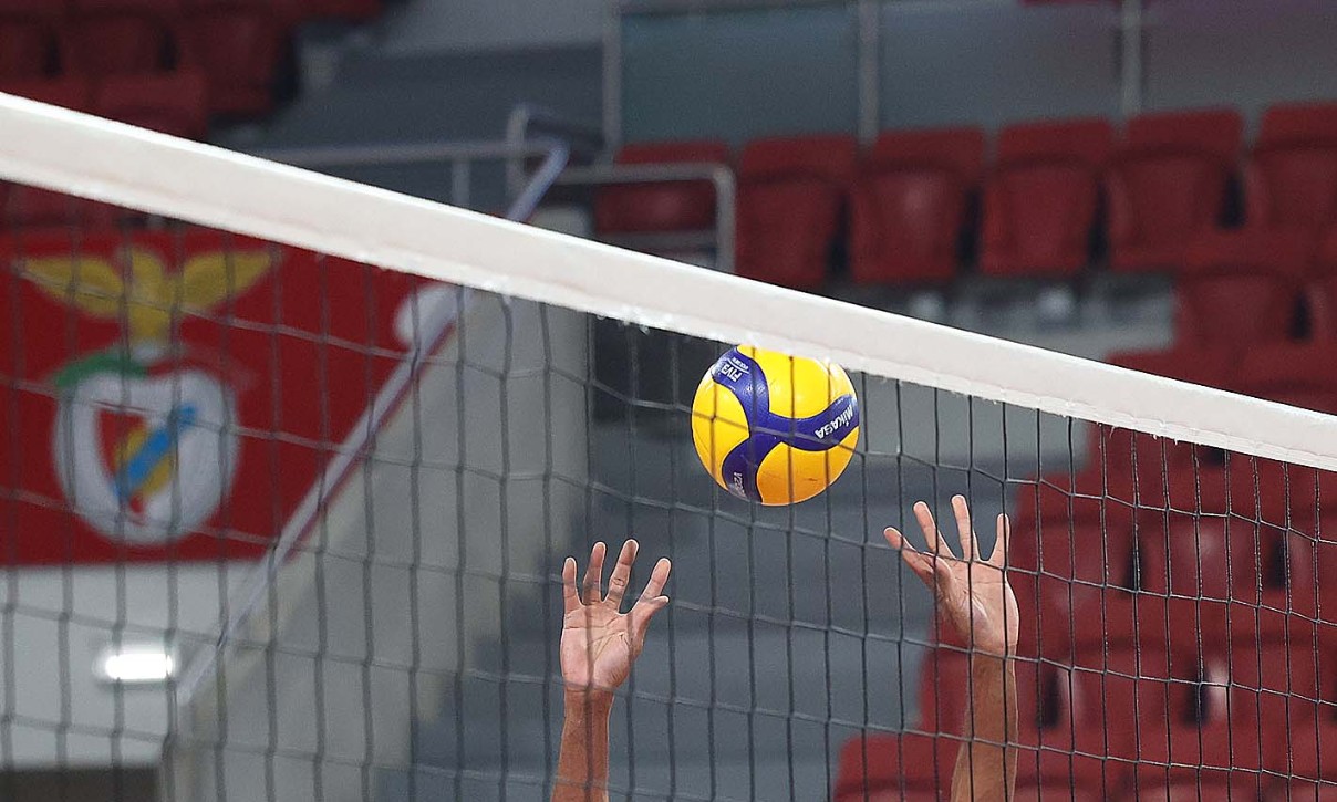 Voleibol