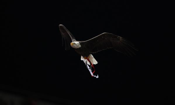 SL Benfica
