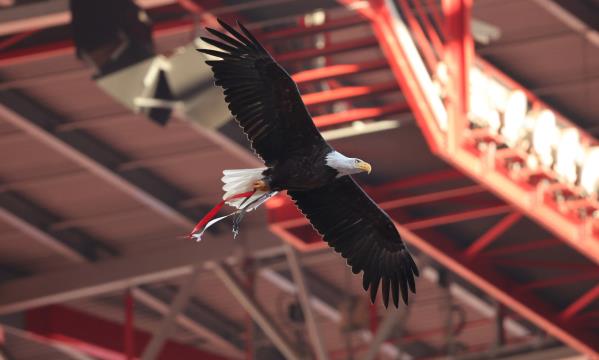 SL Benfica
