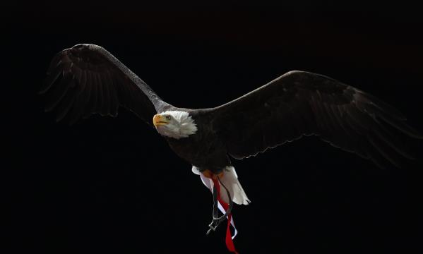 SL Benfica