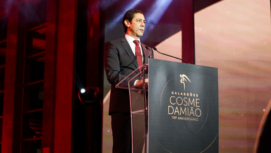 Rui Costa, Presidente do Benfica