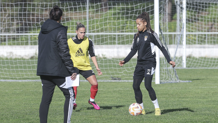 Treino