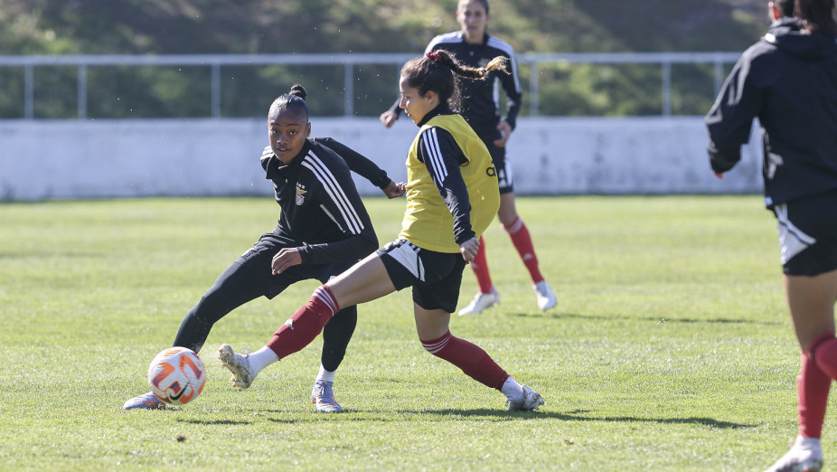 Lank Vilaverdense-Benfica