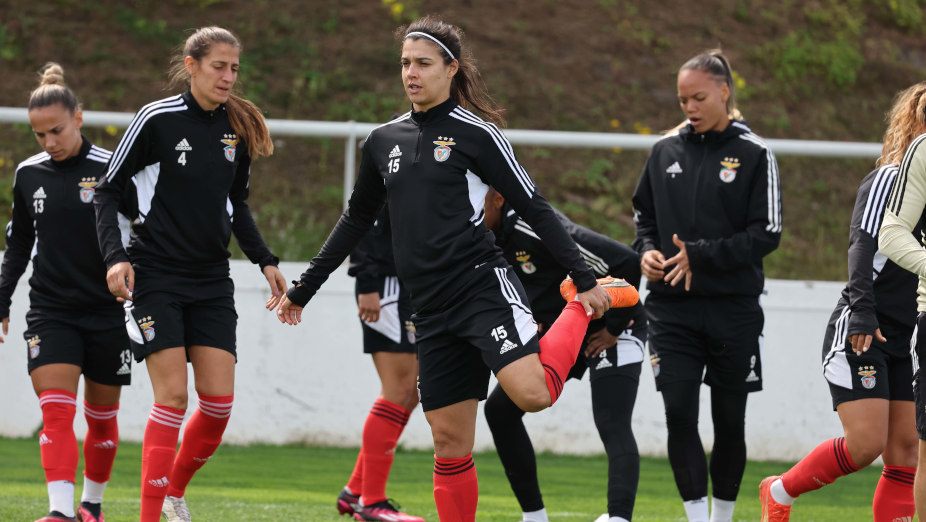 Treino
