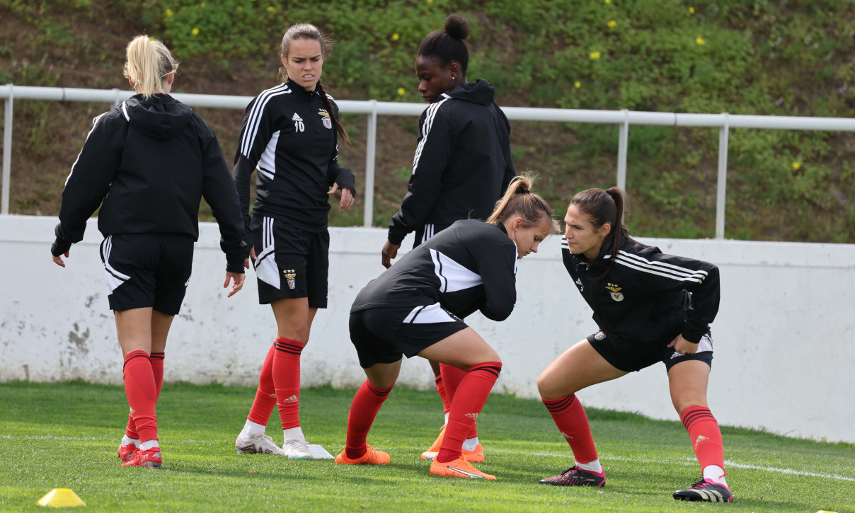 Treino