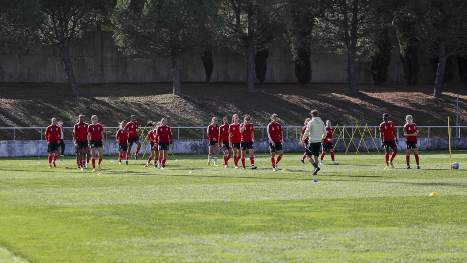 Grupo treino