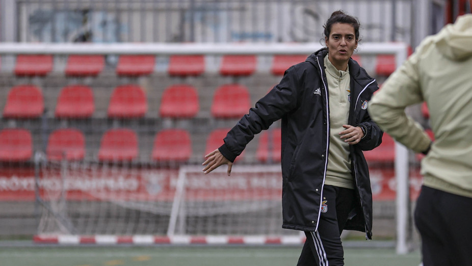 Treino