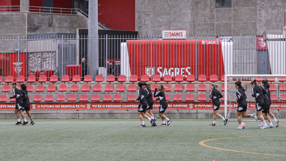 Treino