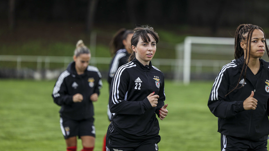 Treino