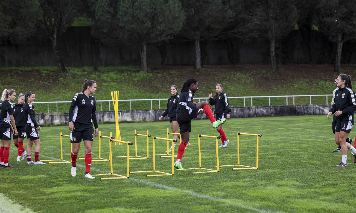 Treino