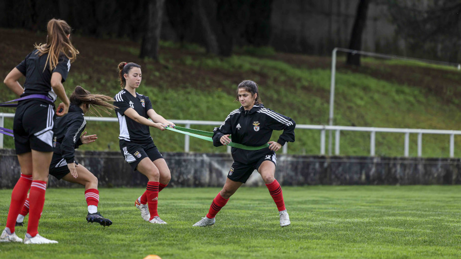 Treino