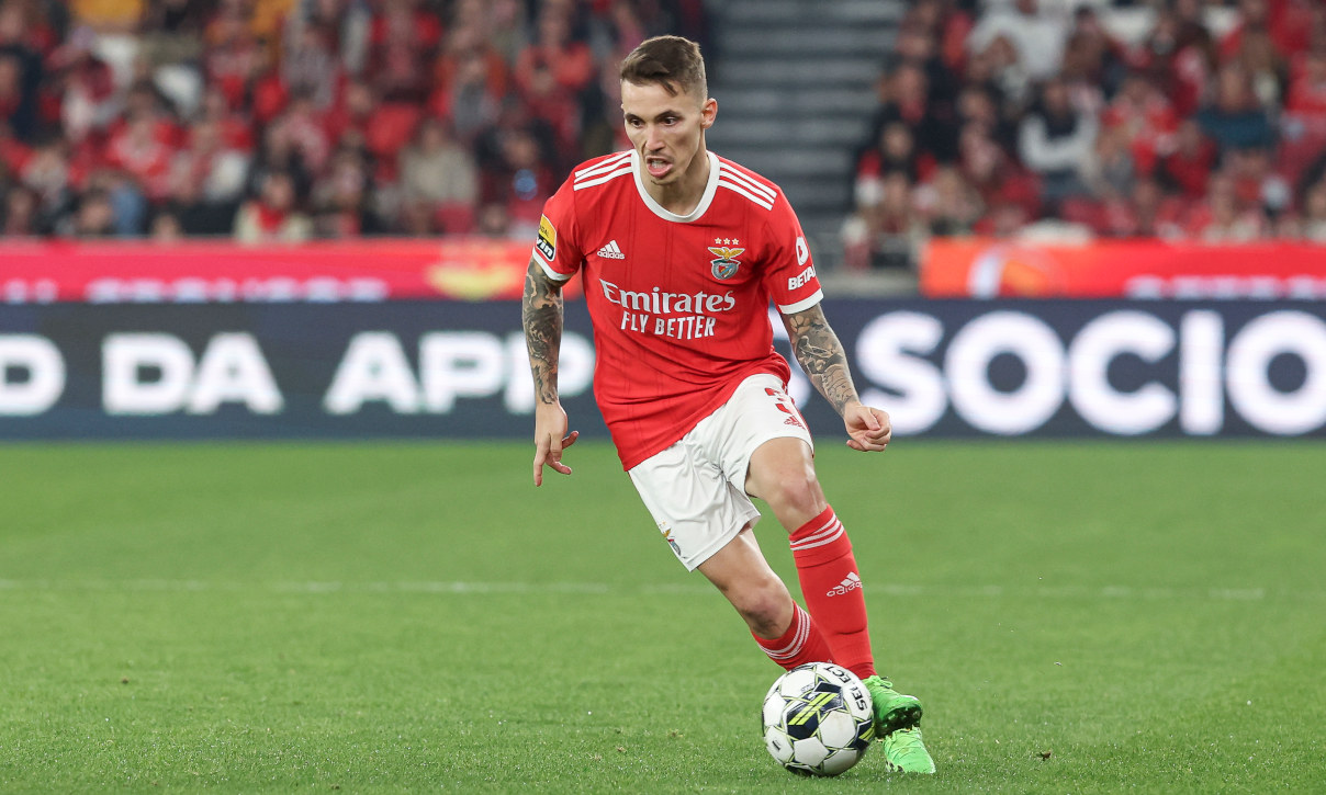 Grimaldo