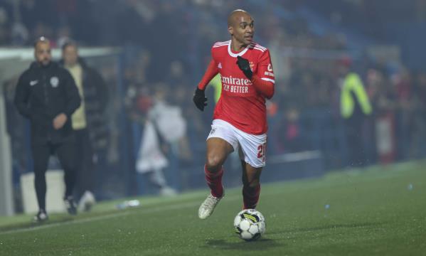 Jo&#227;o M&#225;rio