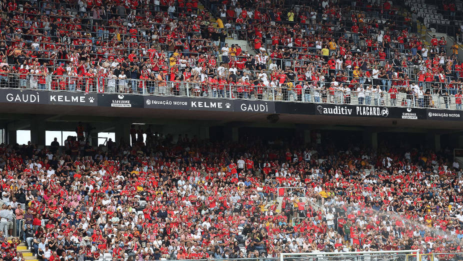 Adeptos do Benfica