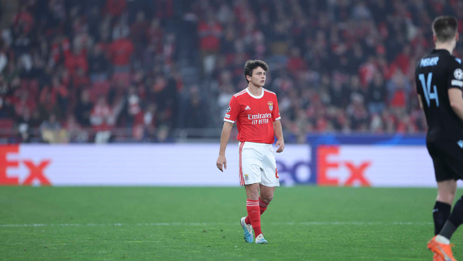 Benfica-Club Brugge da Champions