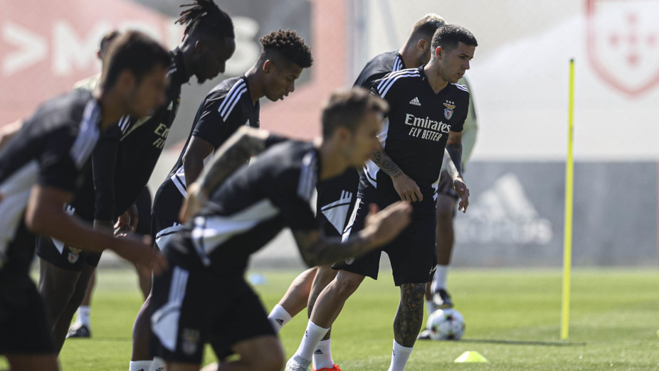 Treino