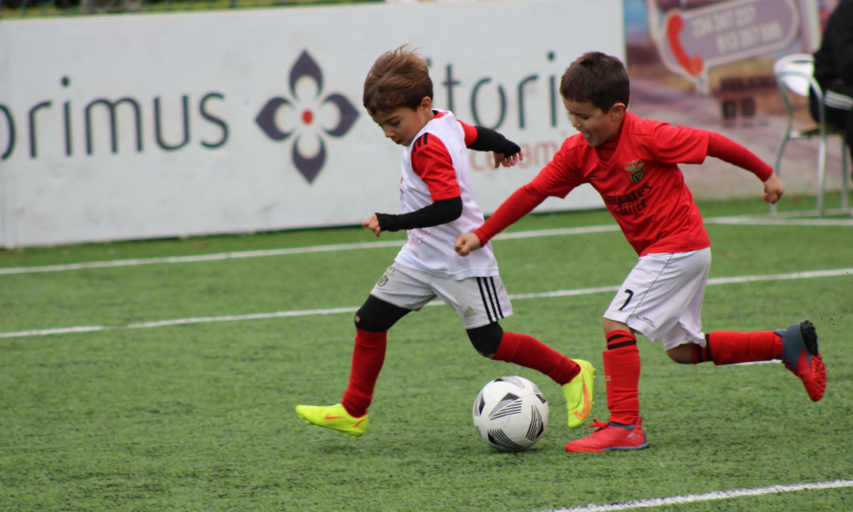 Liga Benfica - Zona Centro