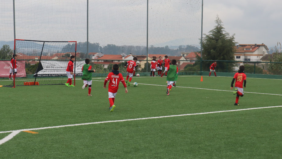 Liga Benfica