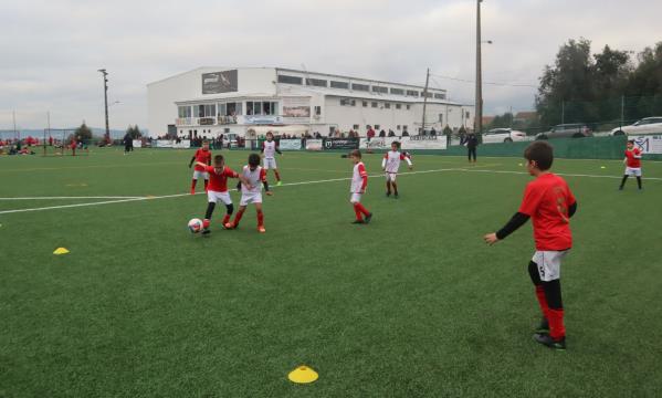Liga Benfica Zona Centro