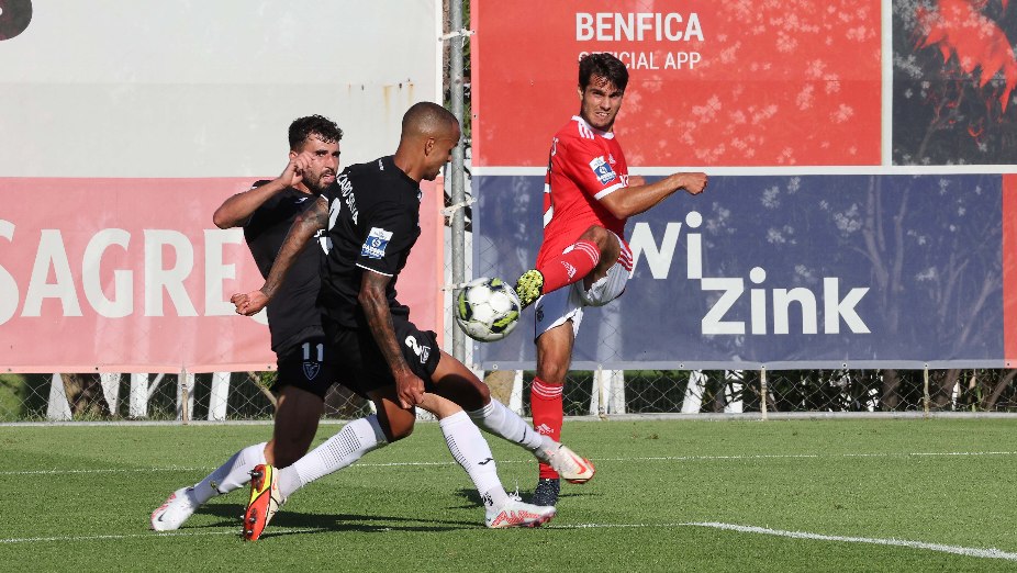 Benfica B