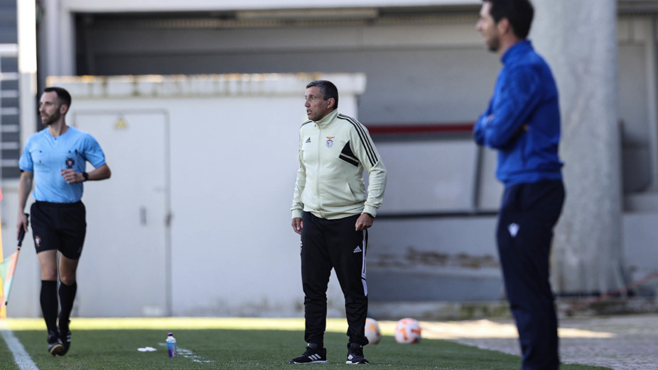 Luís Araújo