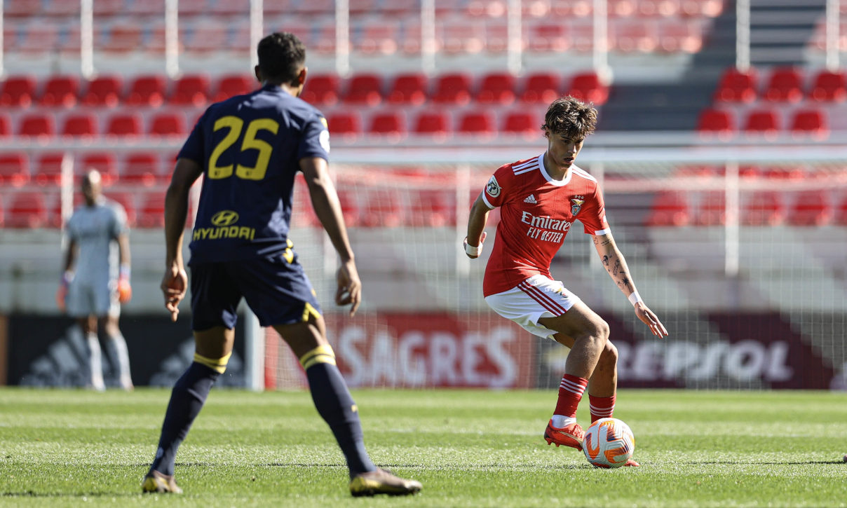 Tomás Azevedo