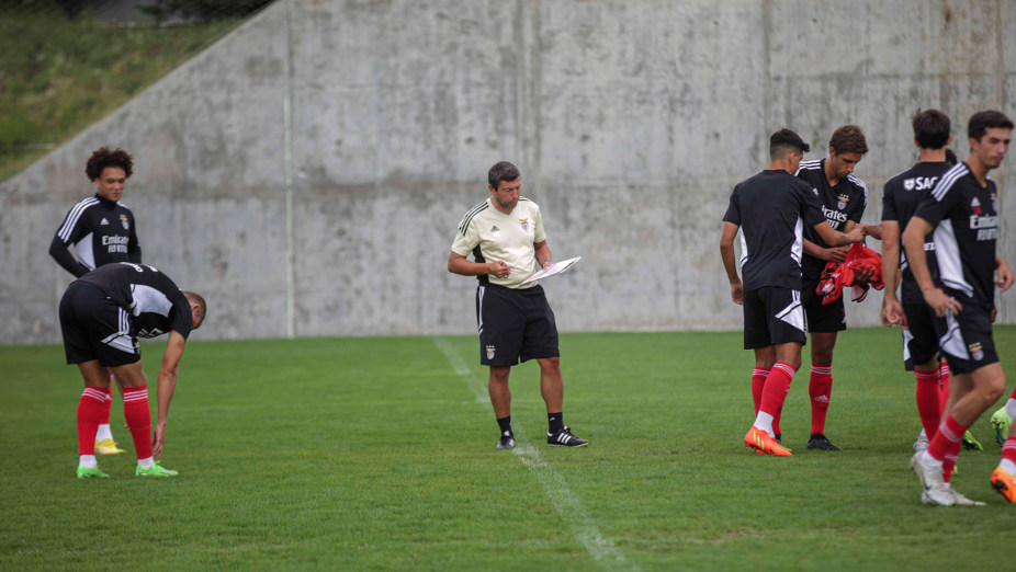 Luís Araújo