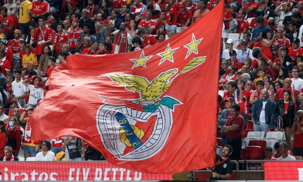 Est&#225;dio da Luz