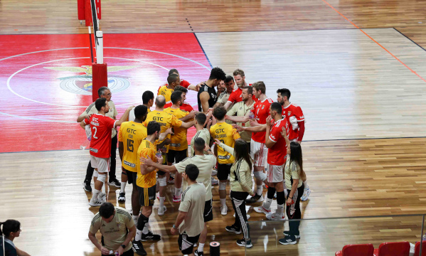 Voleibol