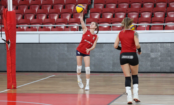 Voleibol Feminino