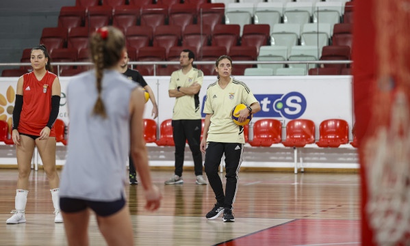 Voleibol feminino