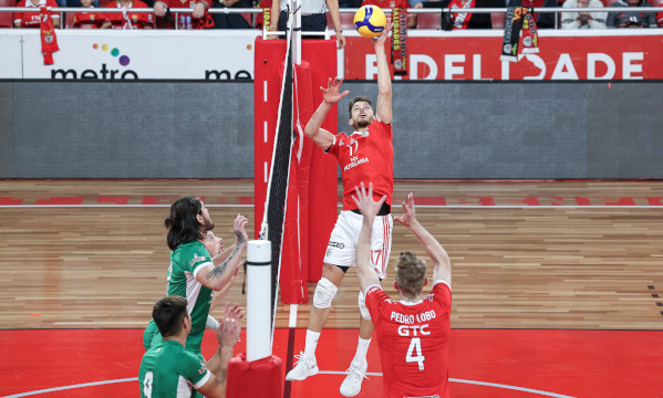 Voleibol