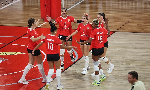 Voleibol feminino