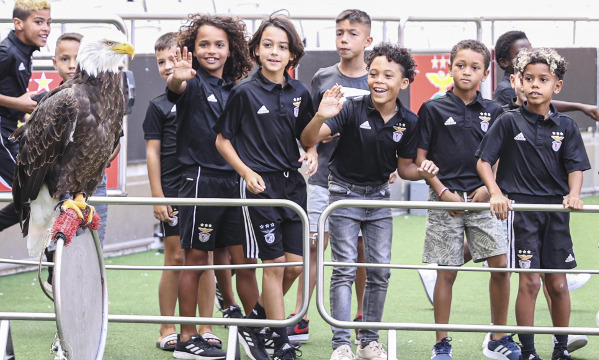 Forma&#231;&#227;o