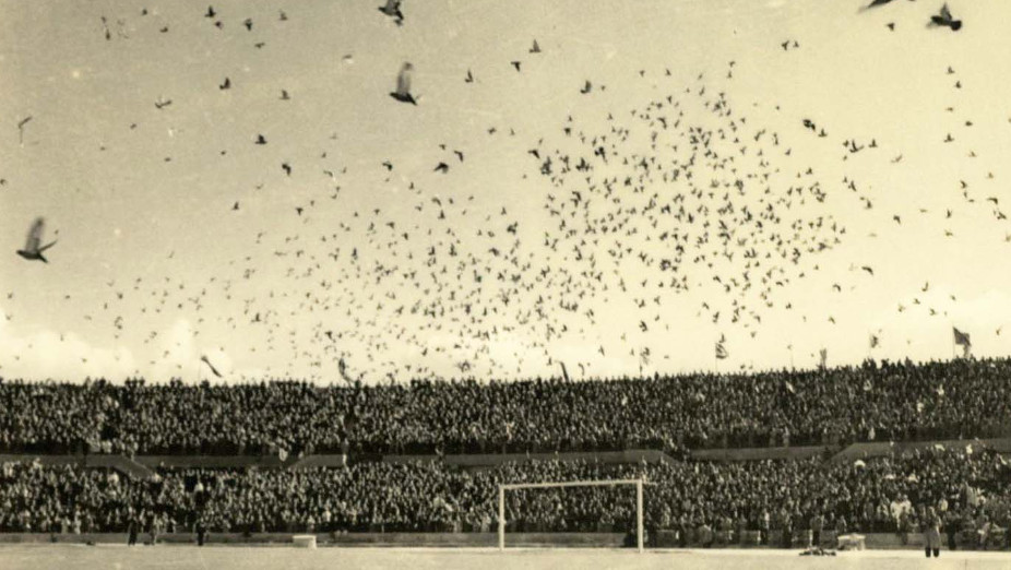 Estádio da Luz