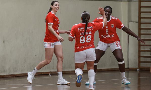 Festejos da equipa do Benfica