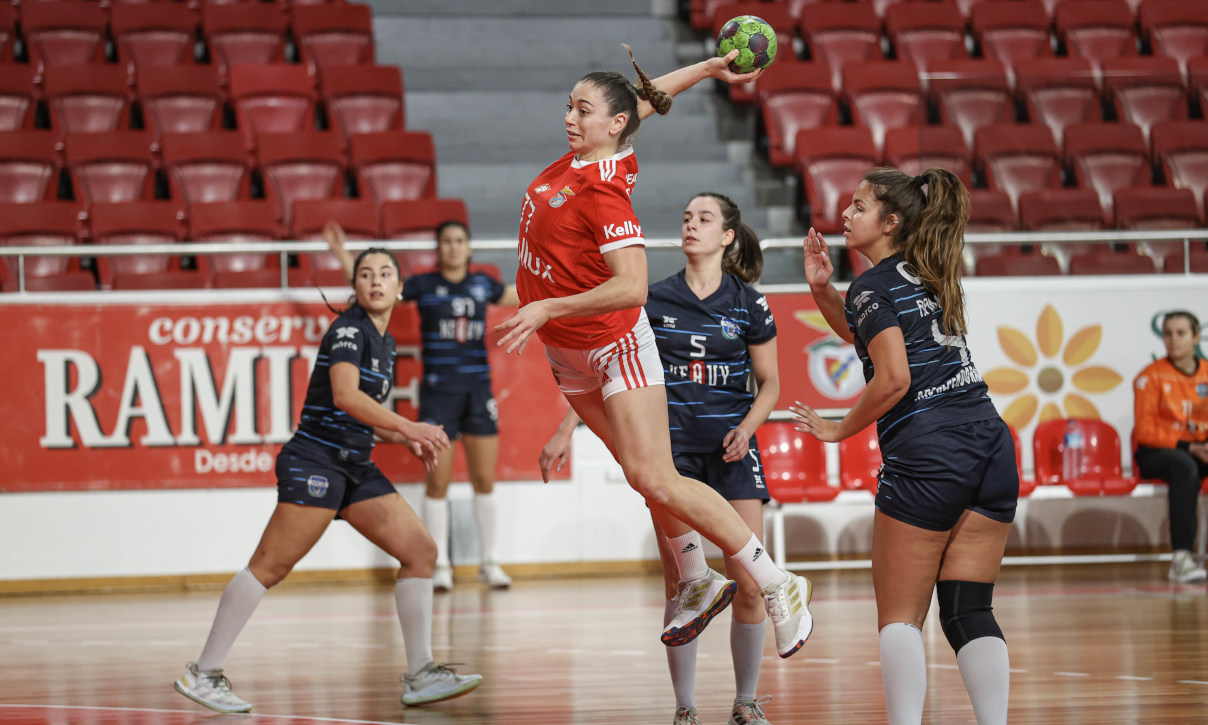 Benfica-Alpendorada