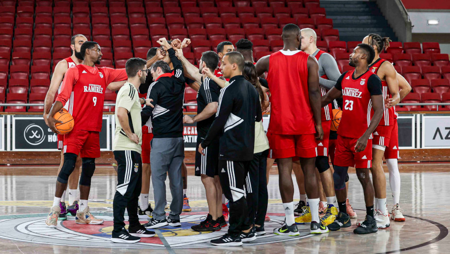 Basquetebol