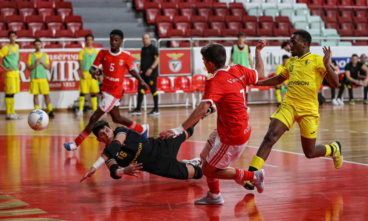 Benfica Futsal Resultados Formação SL Benfica