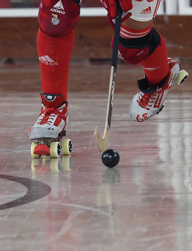 H&#243;quei em patins