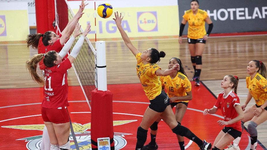 Voleibol