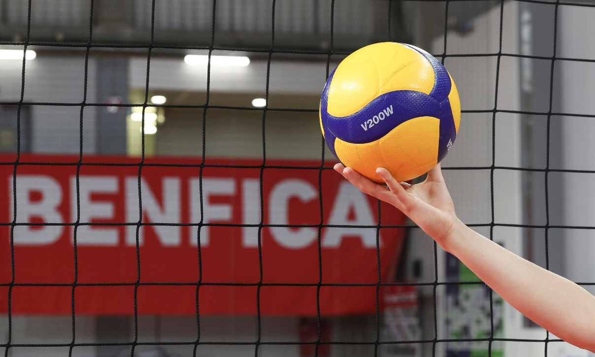 Voleibol