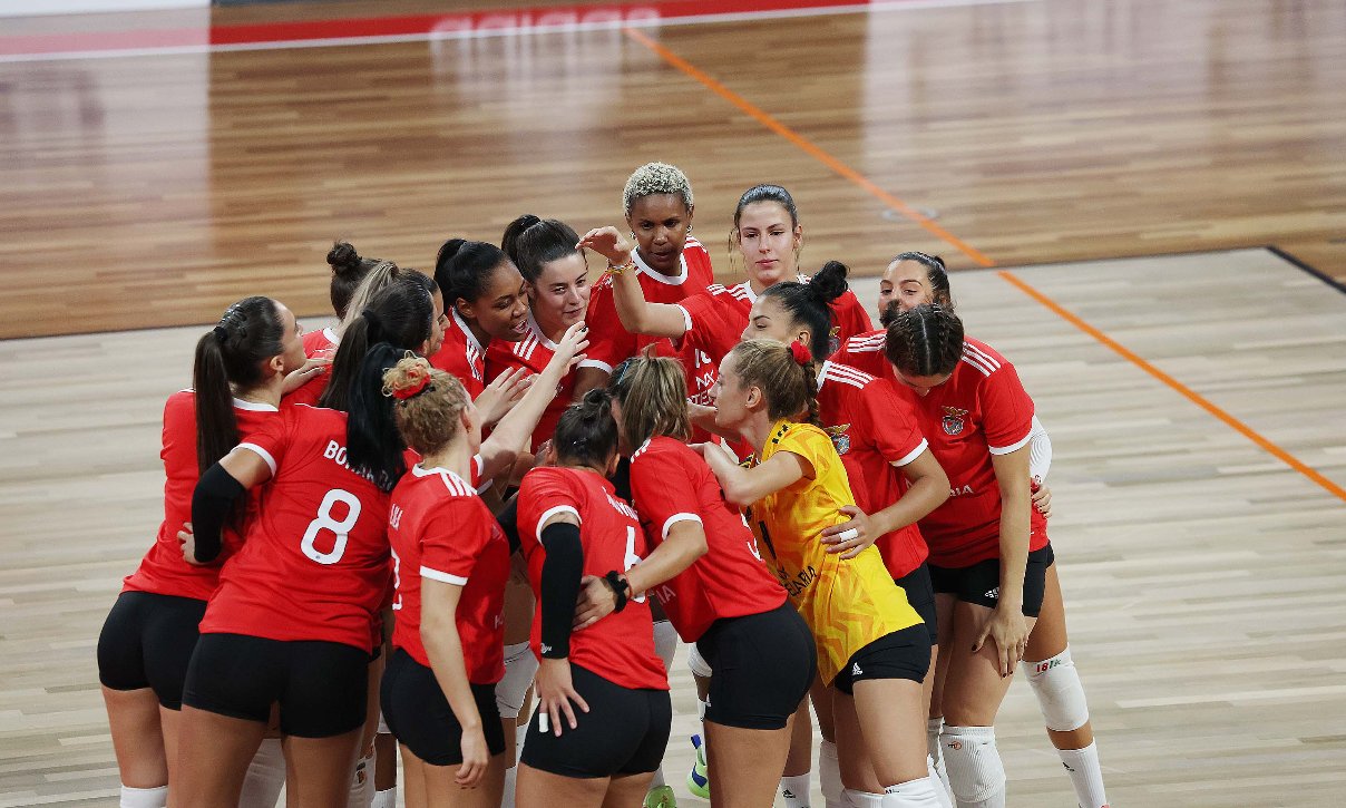Voleibol