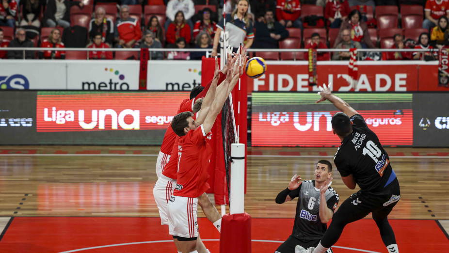 Benfica-Fonte do Bastardo