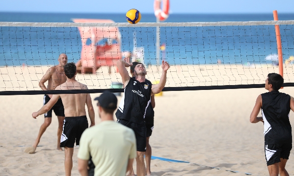 Voleibol