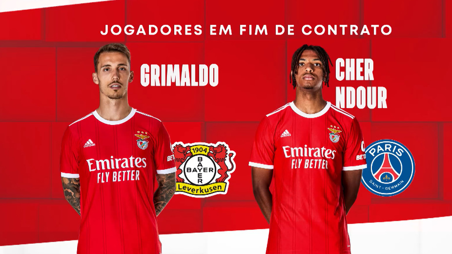 Mercado do Benfica