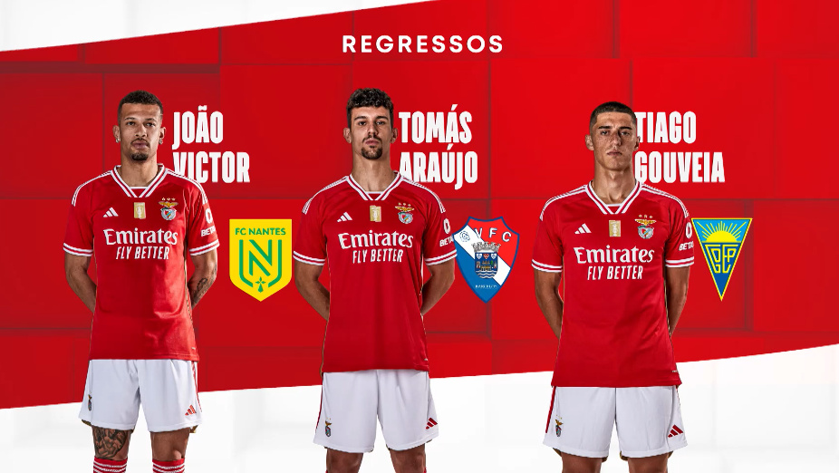 Mercado do Benfica