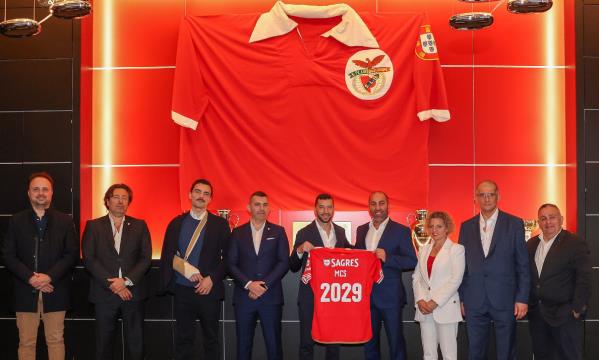 Liga&#231;&#227;o formalizada